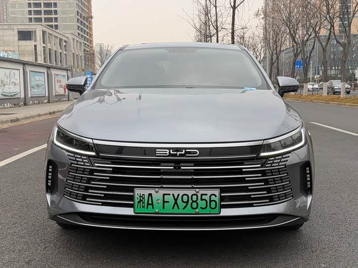 Фото 2 - BYD Destroyer 05