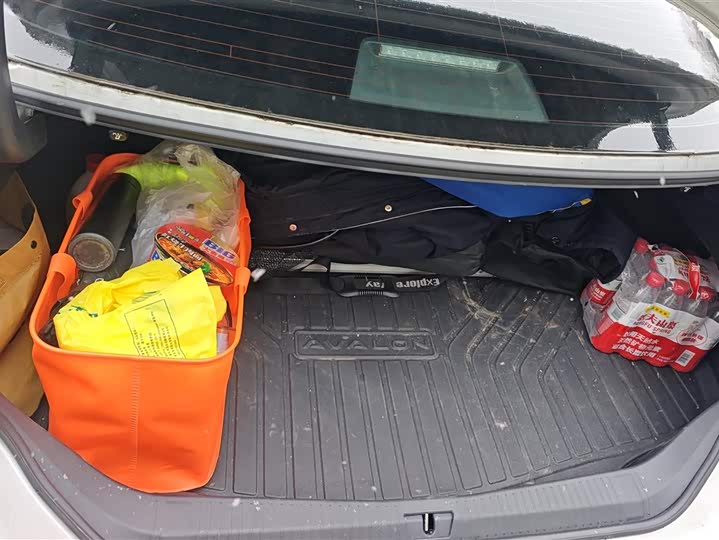 Фото 4 - Toyota Avalon