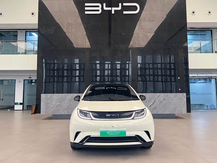 Фото 2 - BYD Dolphin