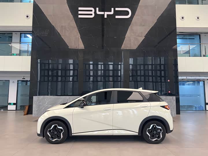 Фото 3 - BYD Dolphin