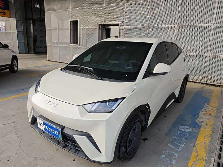 Фото 1 - BYD Seagull