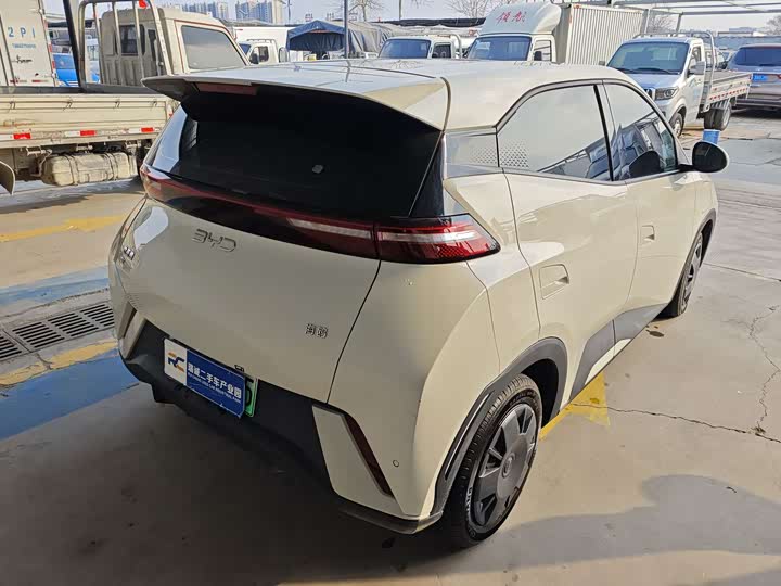 Фото 6 - BYD Seagull