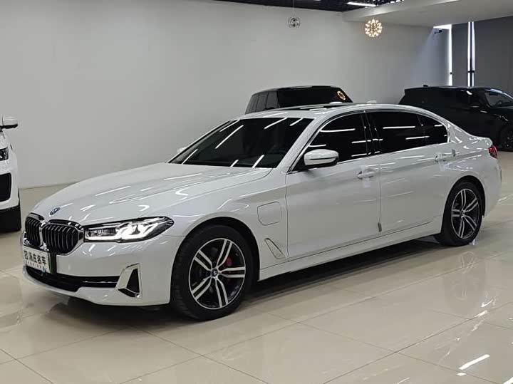 Фото 1 - BMW 5 Series Hybrid