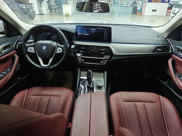 Фото 6 - BMW 5 Series Hybrid