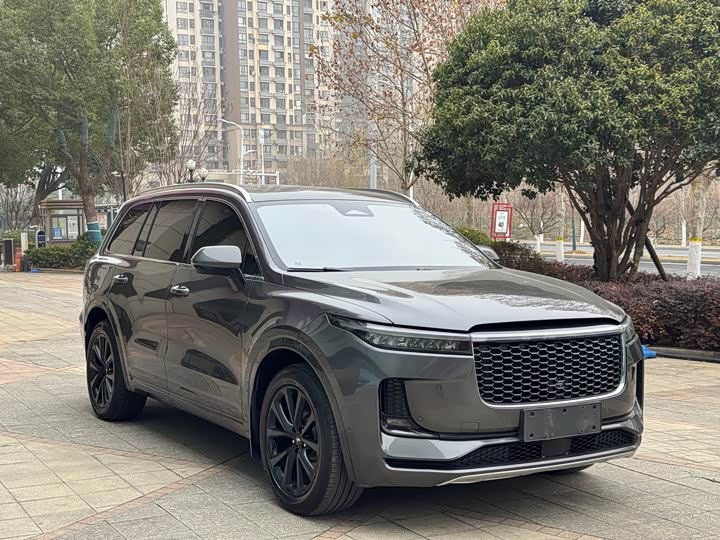 Фото 1 - LiXiang One