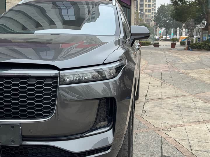 Фото 4 - LiXiang One