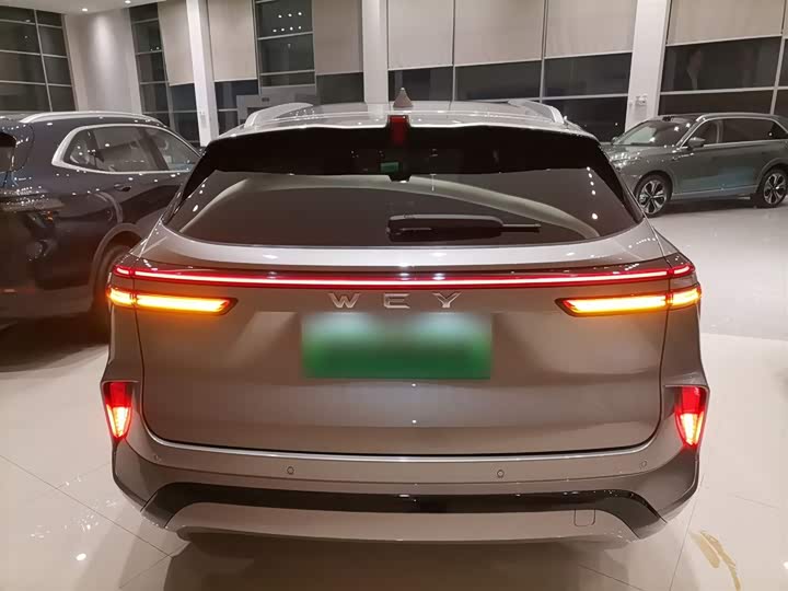 Фото 6 - Wey Mocca Hybrid