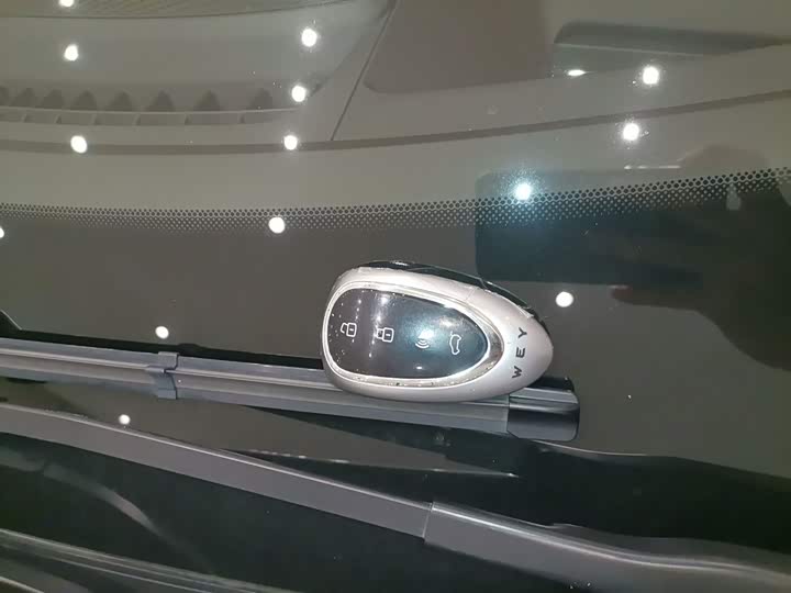 Фото 9 - Wey Mocca Hybrid