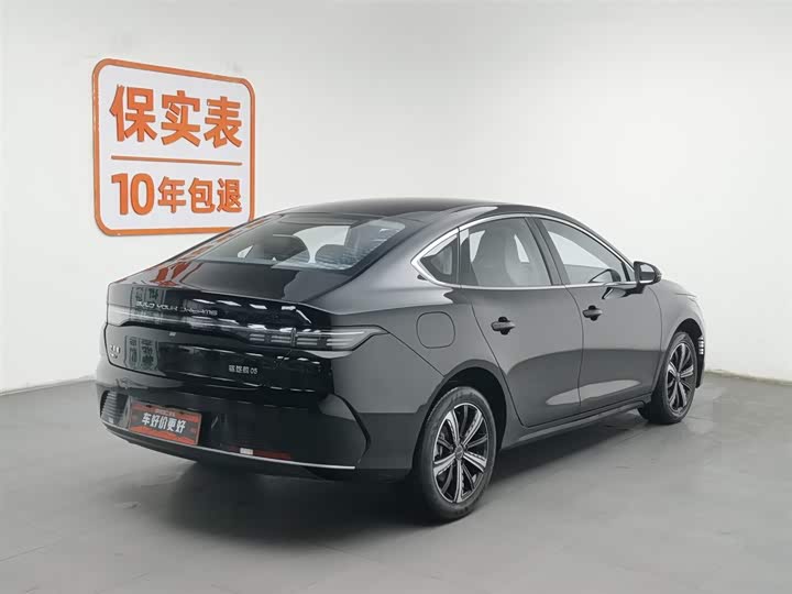 Фото 2 - BYD Destroyer 05