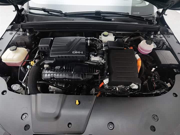 Фото 6 - BYD Destroyer 05