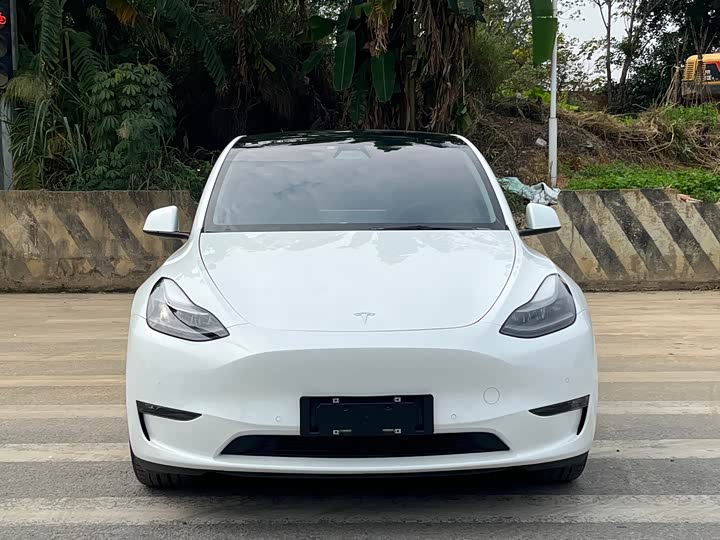 Фото 2 - Tesla Model Y