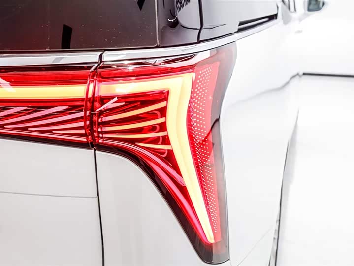 Фото 5 - Buick GL8 Century