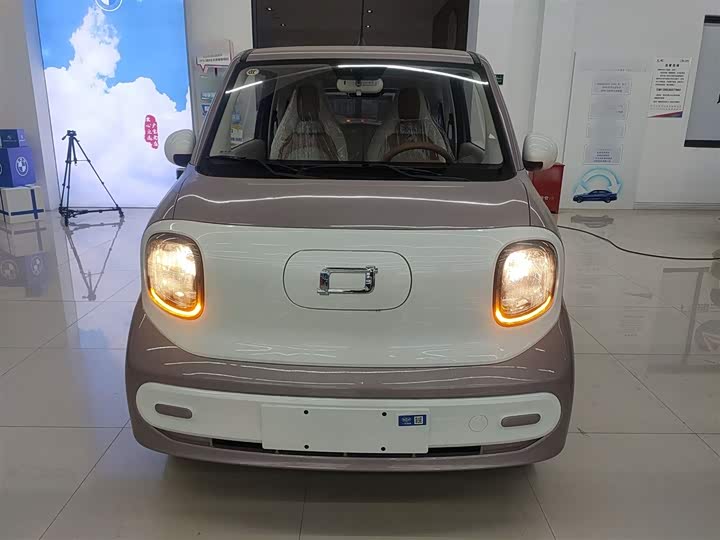 Фото 3 - Bestune Pony