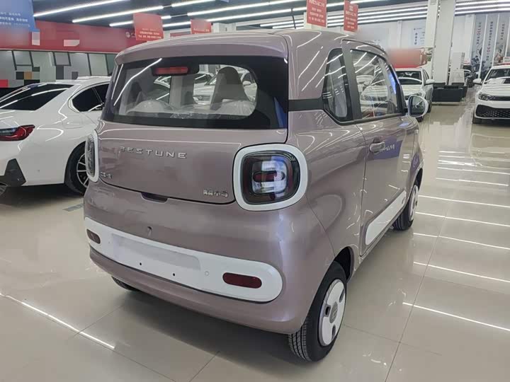 Фото 7 - Bestune Pony