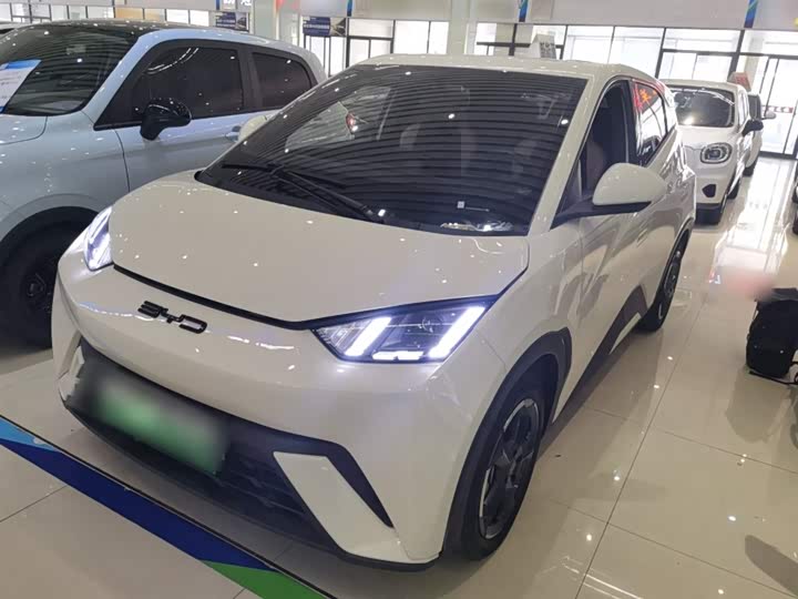 Фото 2 - BYD Seagull