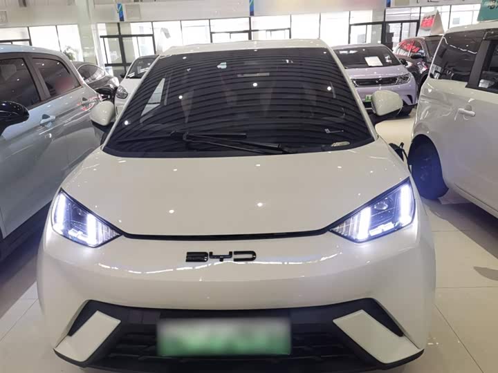 Фото 3 - BYD Seagull