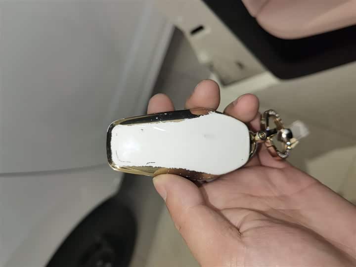 Фото 9 - BYD Seagull