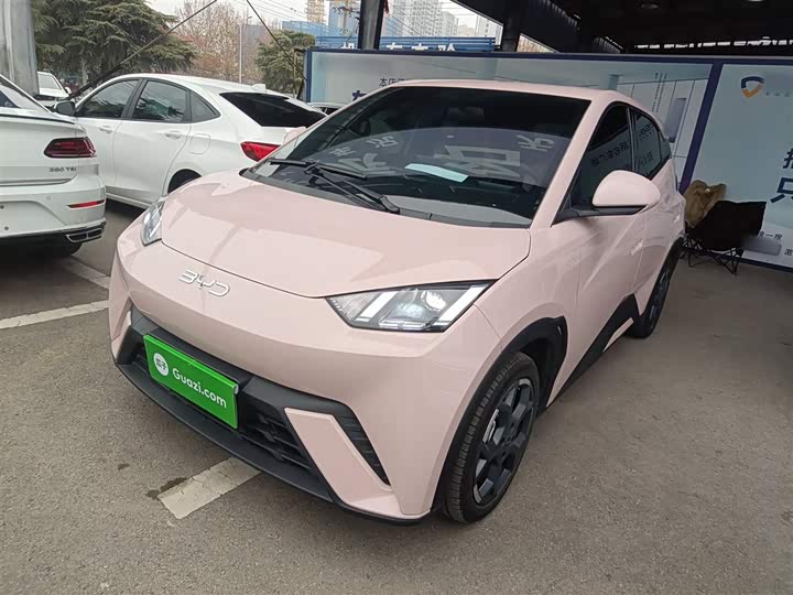 Фото 2 - BYD Seagull