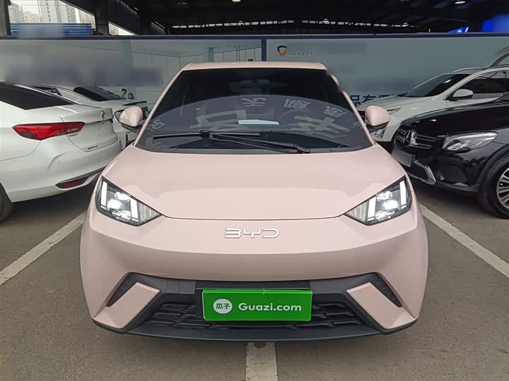 Фото 3 - BYD Seagull