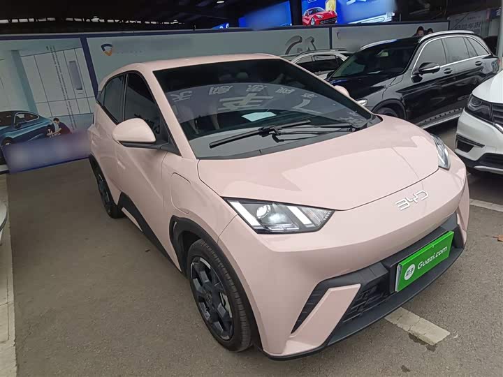 Фото 4 - BYD Seagull