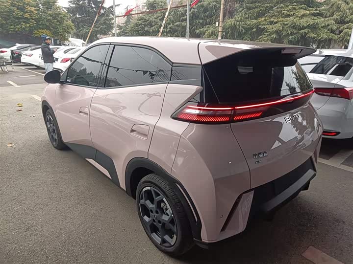 Фото 5 - BYD Seagull