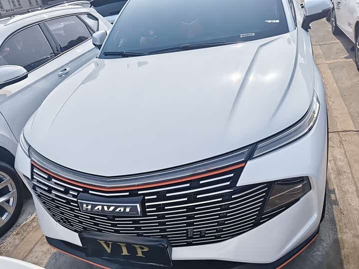Фото 2 - Haval F7 (Monster)