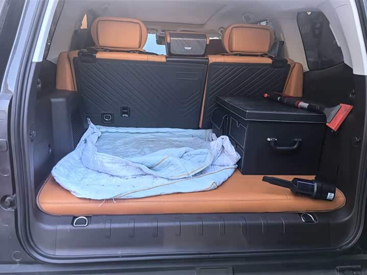 Фото 4 - Tank 500 Hybrid