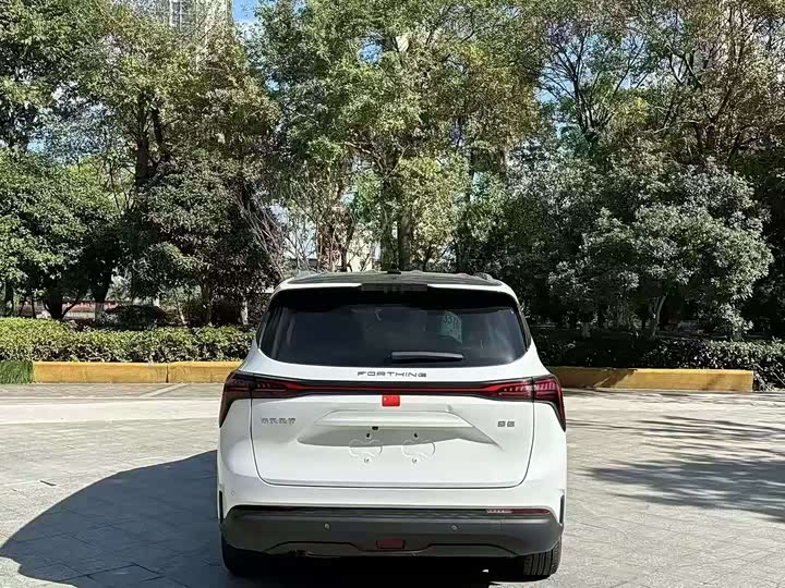 Фото 7 - Dongfeng Forthing Yacht