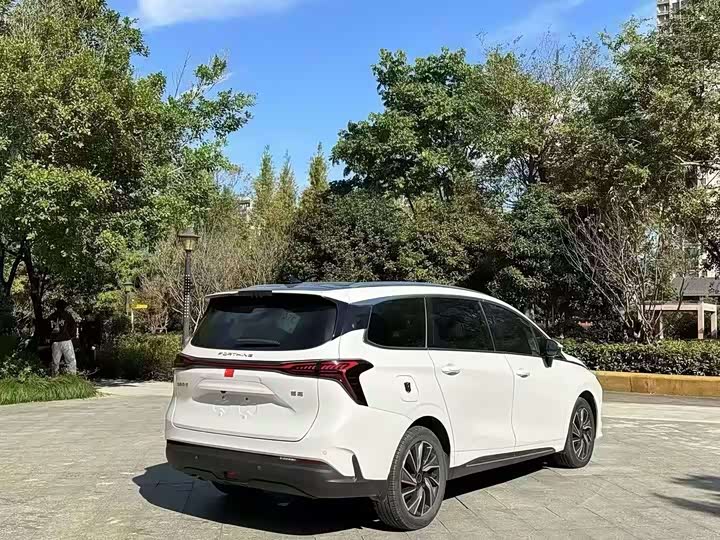 Фото 8 - Dongfeng Forthing Yacht