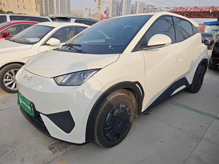 Фото 2 - BYD Seagull