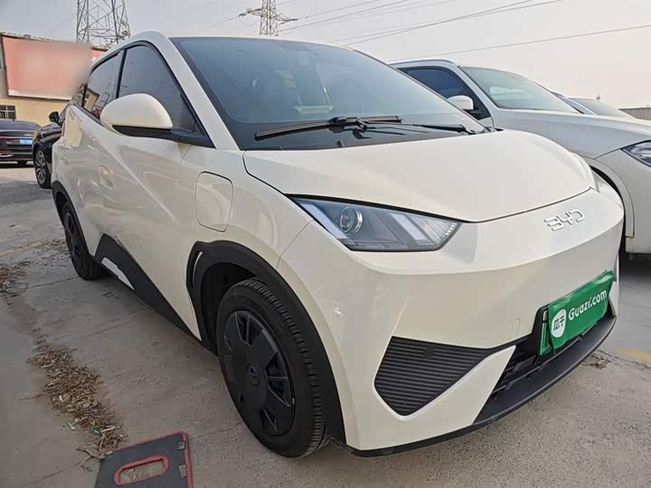 Фото 4 - BYD Seagull