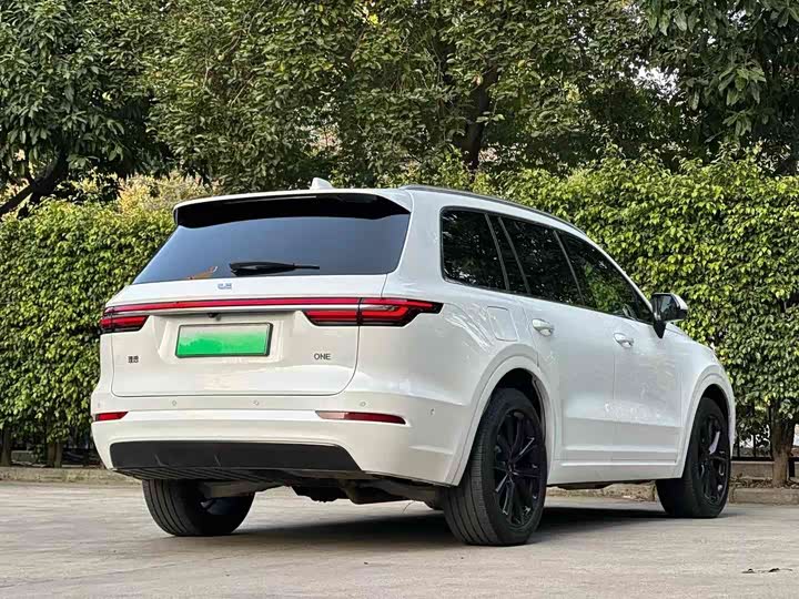 Фото 6 - LiXiang One