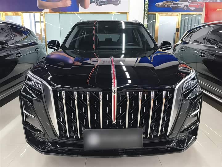Фото 3 - Hongqi HS5