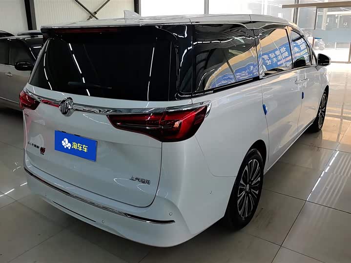 Фото 3 - Buick GL8 ES