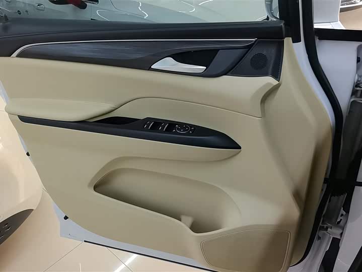 Фото 7 - Buick GL8 ES