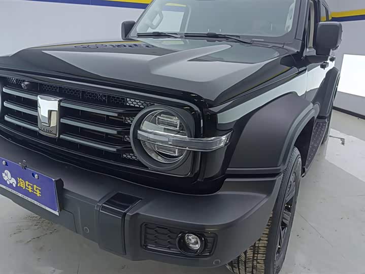 Фото 5 - Tank 300