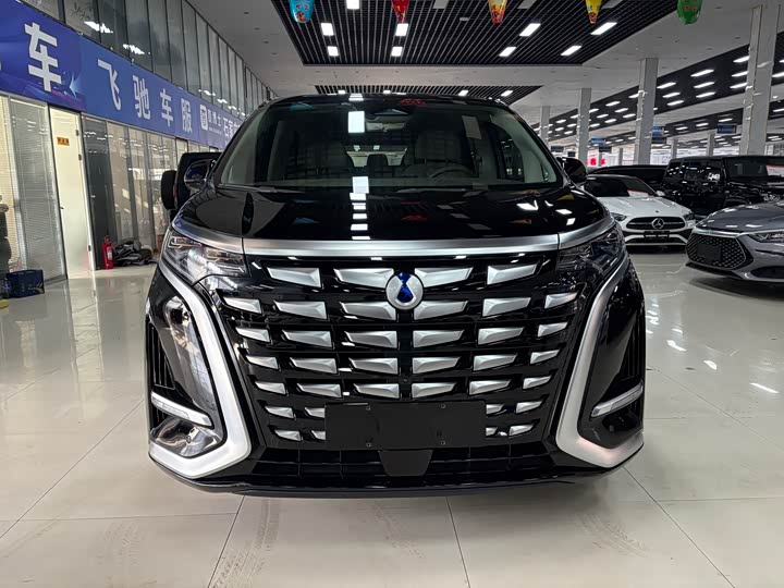 Фото 2 - Denza D9