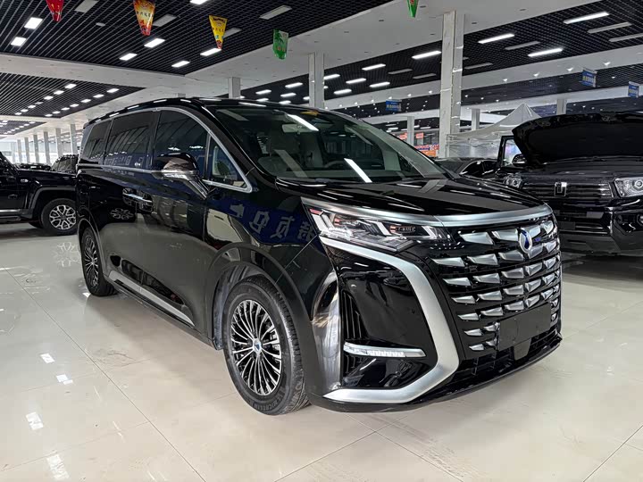 Фото 3 - Denza D9