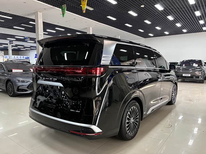 Фото 6 - Denza D9