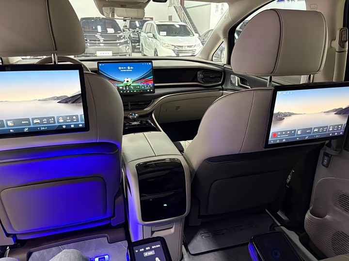 Фото 9 - Denza D9