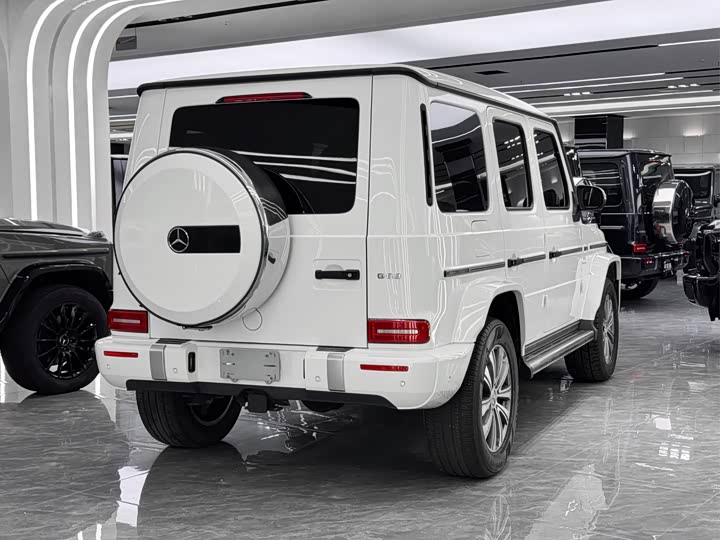 Фото 5 - Mercedes-Benz G-Class