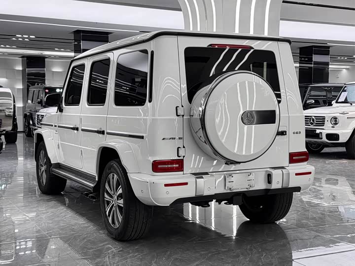Фото 6 - Mercedes-Benz G-Class