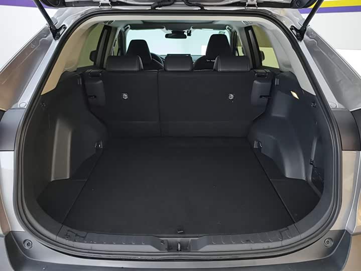 Фото 4 - Toyota Wildlander