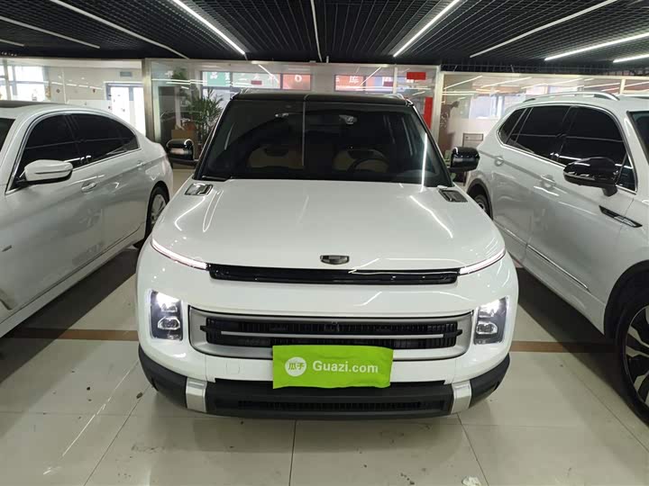 Фото 3 - Geely Icon