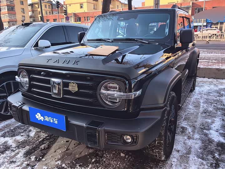 Фото 1 - Tank 300