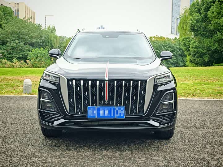 Фото 2 - Hongqi HS5