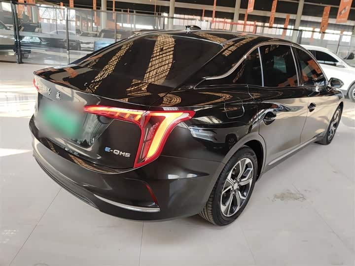 Фото 7 - Hongqi E-QM5