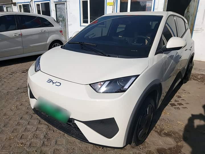 Фото 2 - BYD Seagull