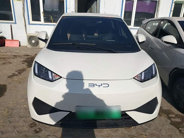 Фото 3 - BYD Seagull