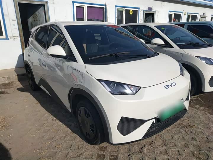 Фото 4 - BYD Seagull